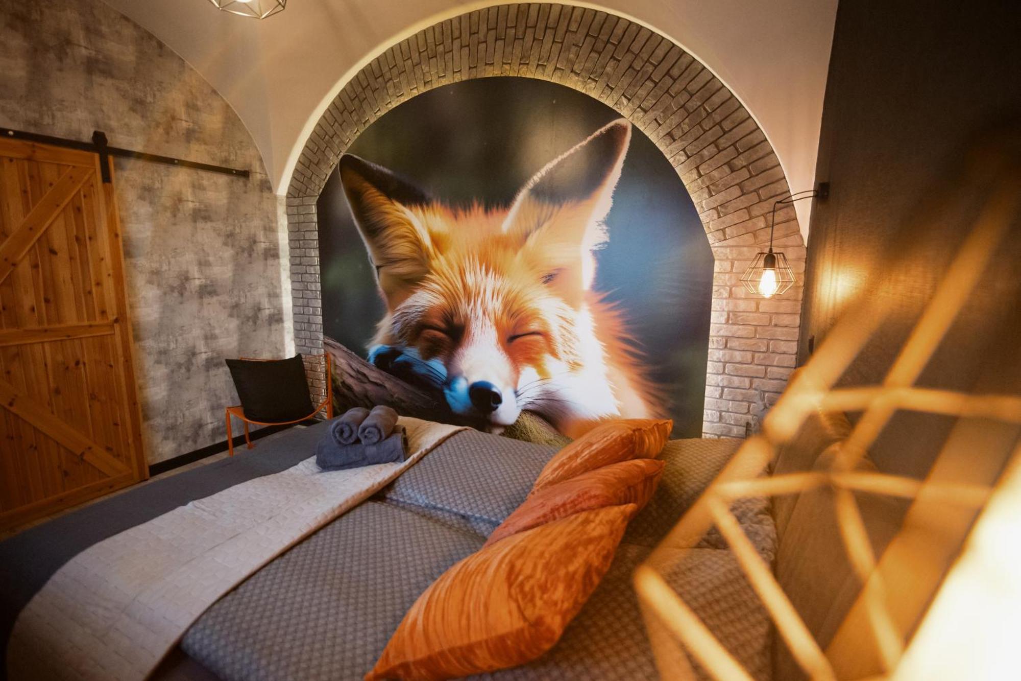 Lisia Nora Apartment Klodzko Luaran gambar